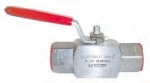 Stainless Manual Ball Valves and Check Valves